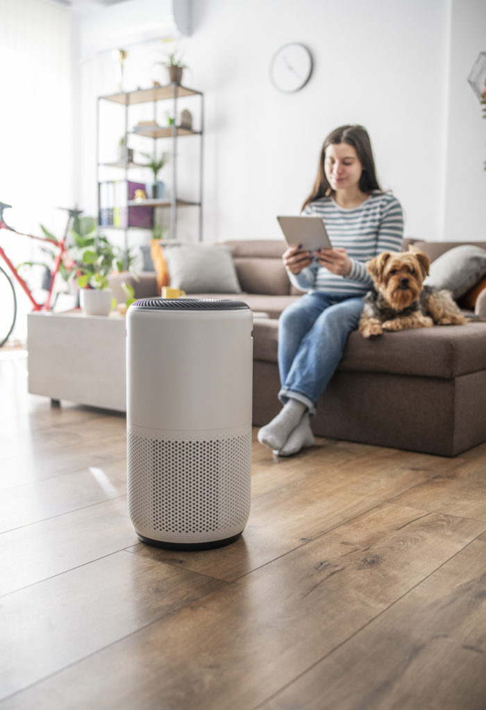Purificateur d’air dans un salon
