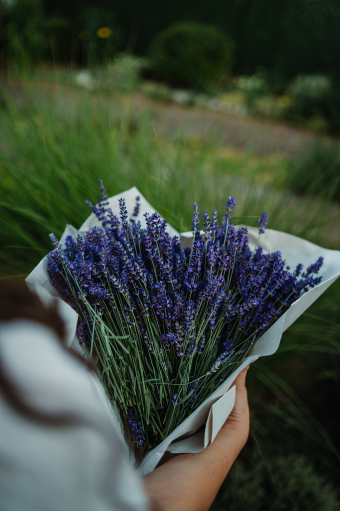Egy csokor levendula