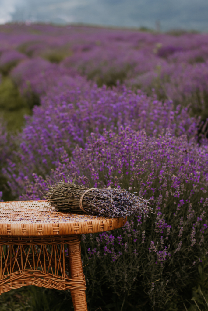 Szárított levendula egy asztalon