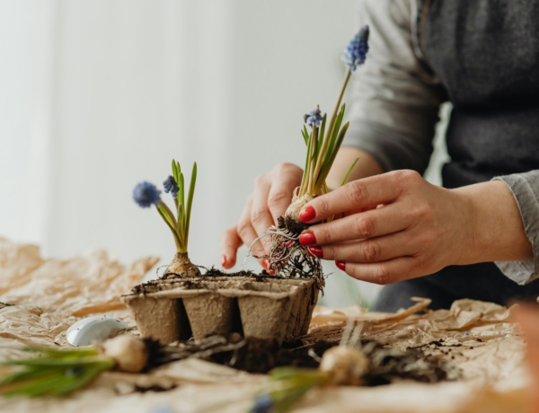 Ma, február 16.: Julianna és Lilla névnapját ünnepeljük– mit jelent a nevük?