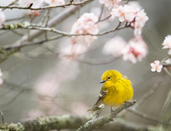 Időjárás 2026. február 22.: Enyhe, helyenként csapadékos nap vár ránk