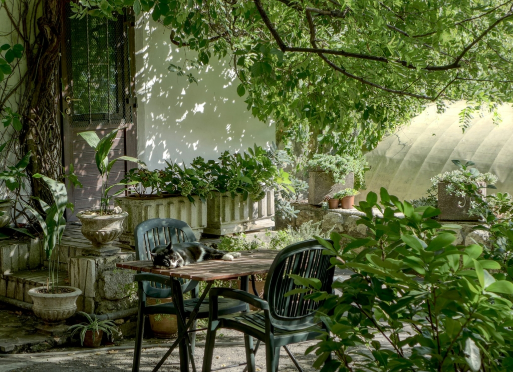 A kerted 5 apró részlete, ami mentálisan feltölt