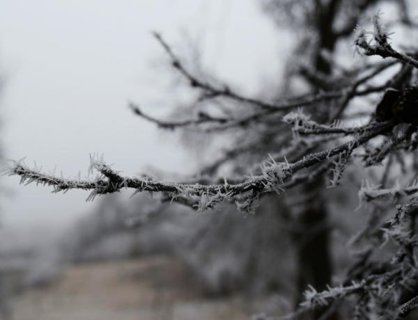Időjárás 2026. február 15.: Eső és havaseső is eshet a hidegfront nyomán
