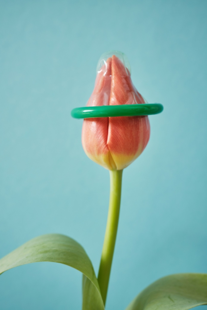 Tulipánra húzott koton