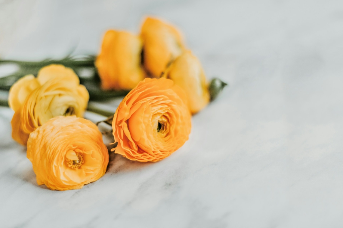 Ma, március 11., Szilárd névnapja van – Mit árul el a neve?