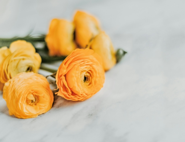 Ma, március 11., Szilárd névnapja van – Mit árul el a neve?