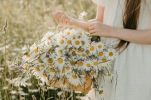 Havi horoszkóp 2026. április – A hosszabb nappalokkal kibontakozik a kreativitás is