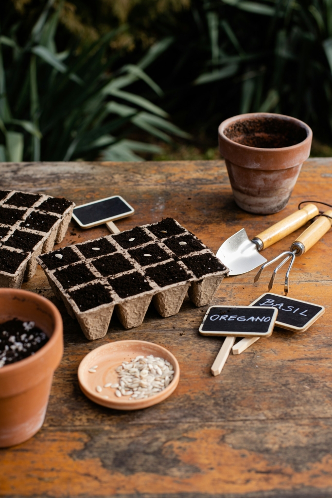 Fűszernövények palántanevelő edényben