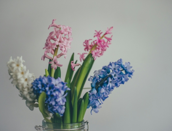 Ma, március 14.: Matild és Matilda névnapja van – milyen a személyiségük?