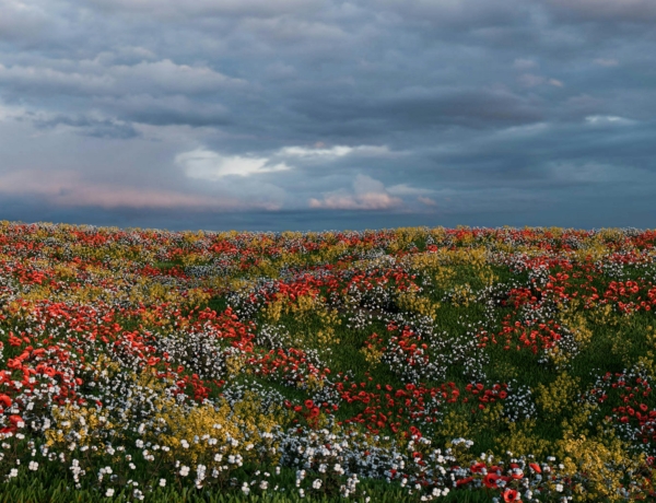 Időjárás 2026. március 28.: Melegszik az idő, de záporok még előfordulhatnak