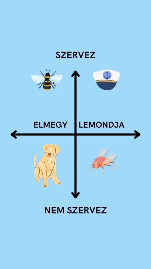 Négyféle barát típus