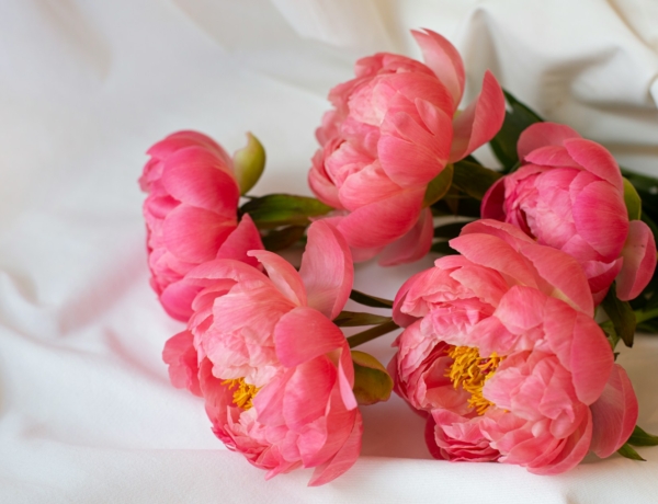 Ma, március 23., Emőke névnapja van – mit jelent a név?