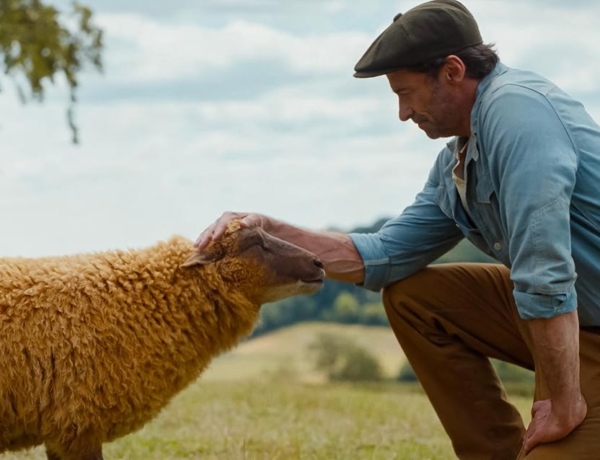 Birkakrimi: beszélő birkák nyomoznak Hugh Jackman új, izgalmas filmjében