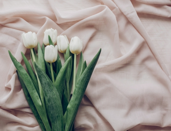 Ma, március 1.: Albin és Albina névnapja van– mit mond el róluk a nevük?