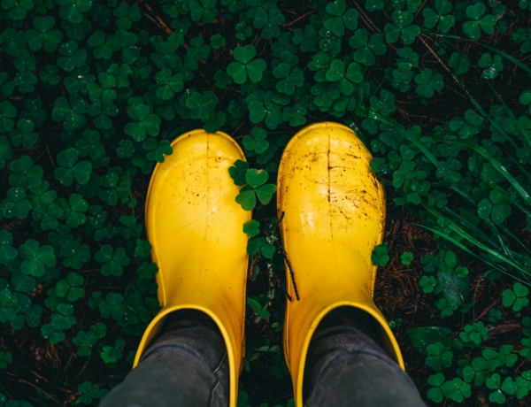 Időjárás 2026. március 31.: Eső viharos széllel, alacsony csúcsértékekkel