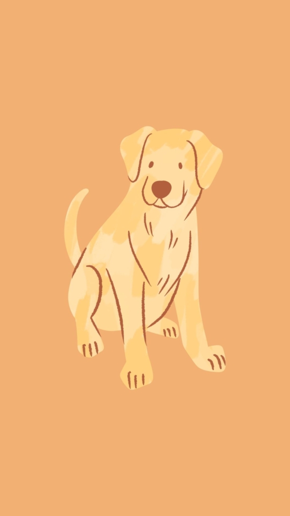 Golden Retriever barát típus