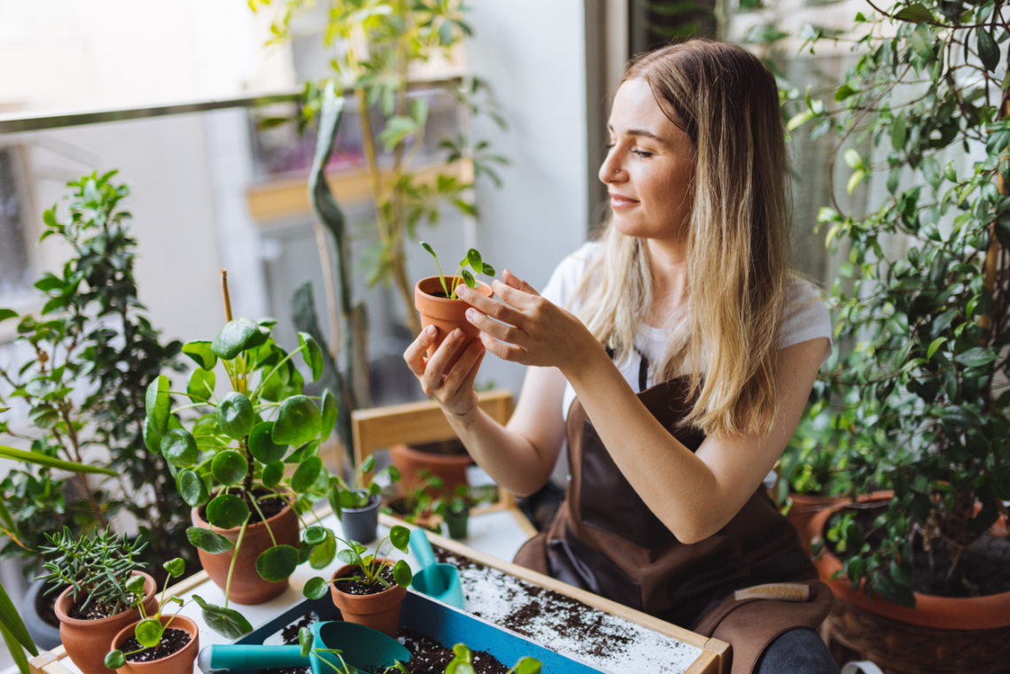 Balkonkertészkedés kezdőknek: Ezek a növények a legbiztosabb befutók