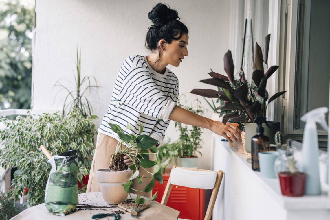 Nem nőnek szépen a balkonvirágok? 5 jel, hogy a talajuk nem elég tápanyagban gazdag