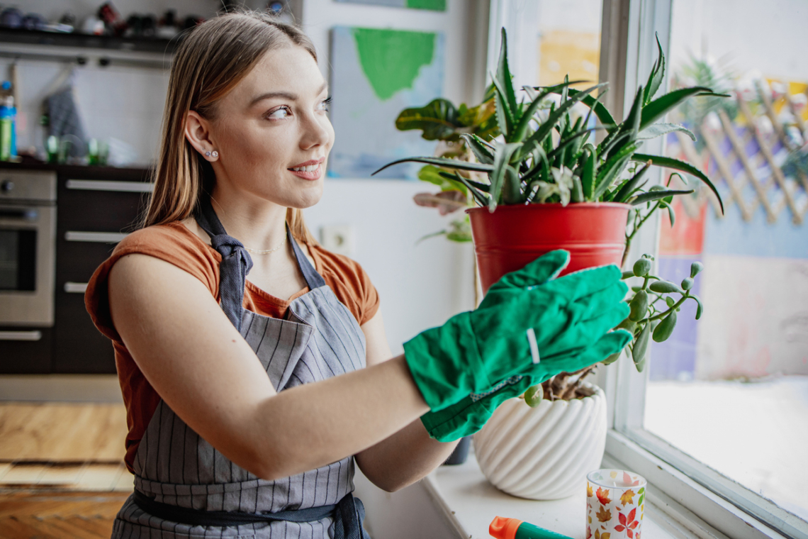 A leggazdagabb házak titka nem a pénz – hanem a rend! 10 trükk a mindig-rend lakásokhoz