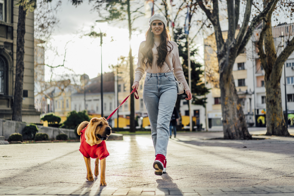 Egy kutyaév tényleg hét emberi évnek felel meg? A 6 leggyakoribb kutyás mítosz, ami valójában hamis