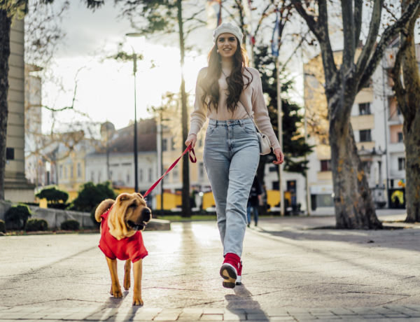 Egy kutyaév tényleg hét emberi évnek felel meg? A 6 leggyakoribb kutyás mítosz, ami valójában hamis