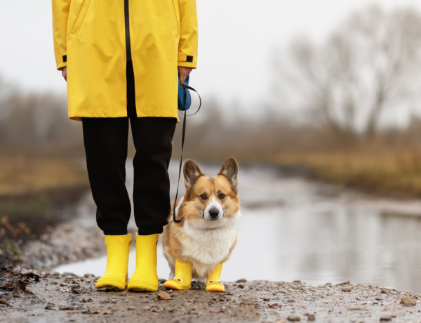 Időjárás 2026. március 29.: Esős, szeles, de helyenként napos idő zárja a hetet