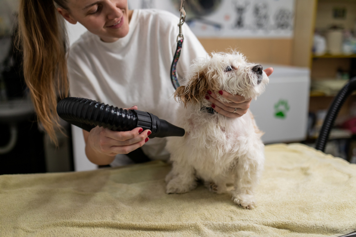 Gazdiként ne kövesd el ezeket a hibákat, mert szorongóvá válhat tőle a kutyád