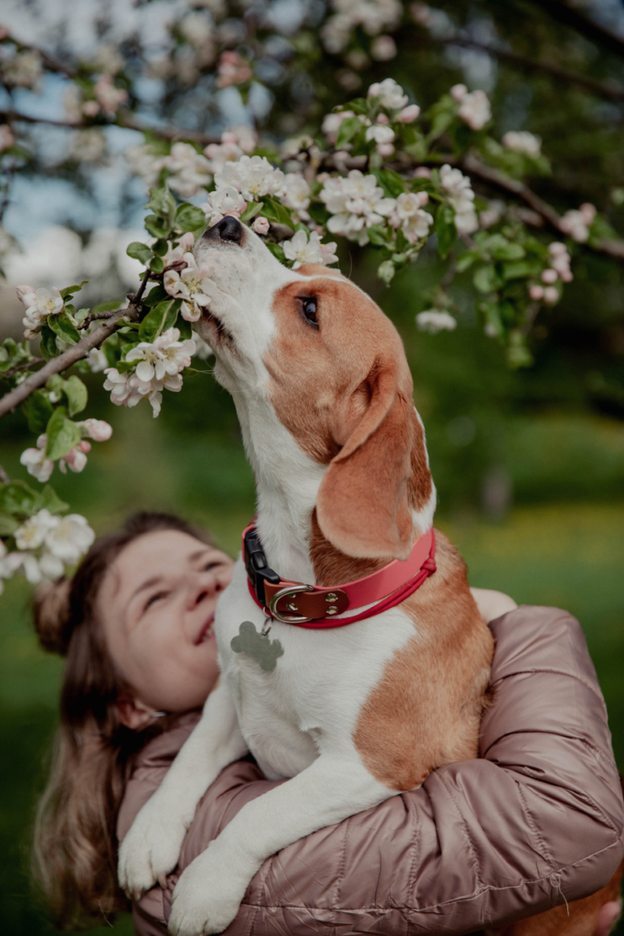 Nő a kutyájával játszik a szabadban
