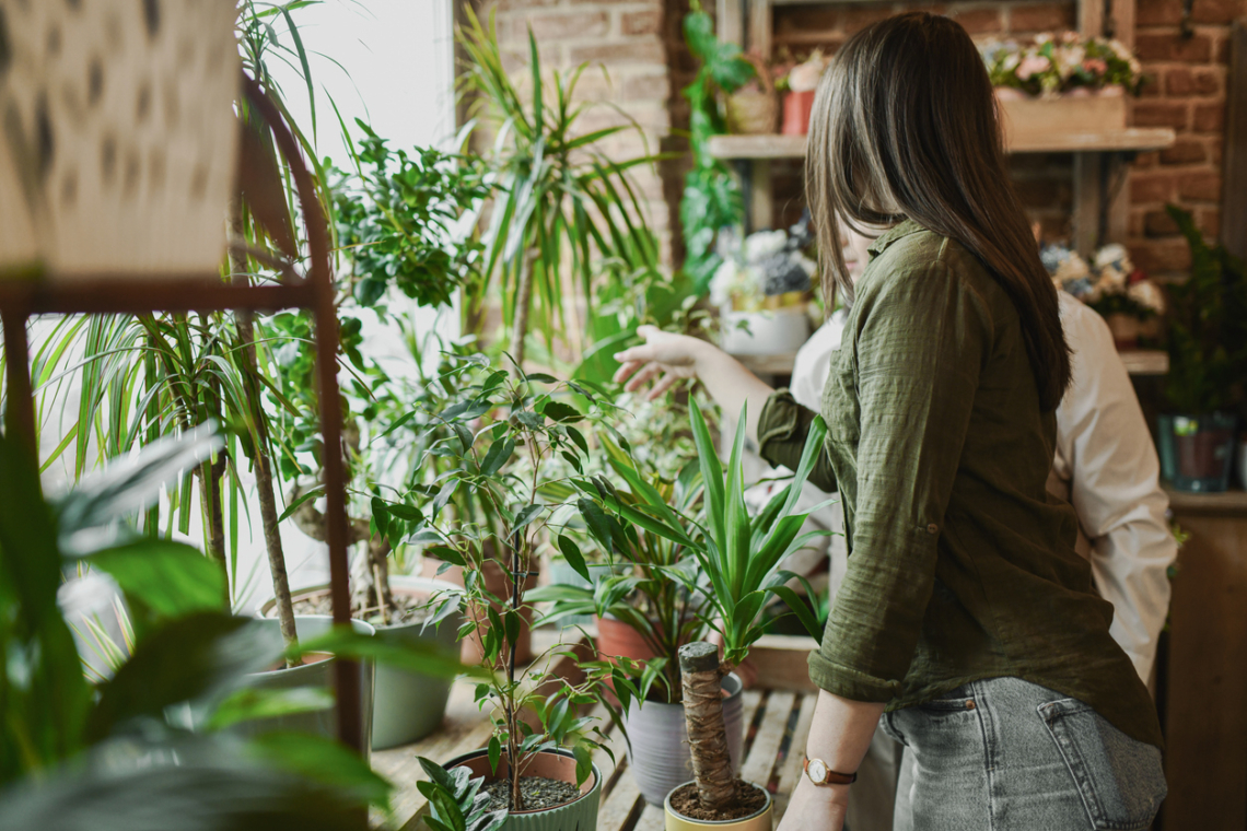 5 növény-inspirálta dekor, ami új szintre emeli a lakás hangulatát