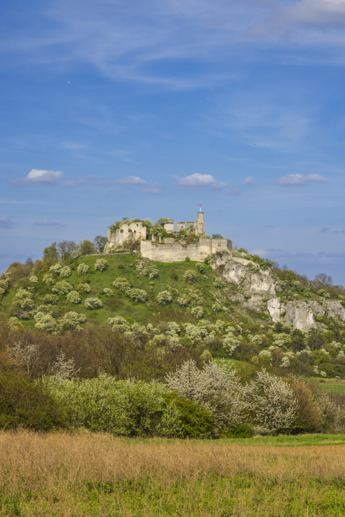 Falkenstein kastély