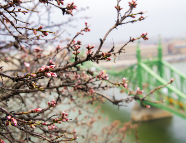 Időjárás 2026. március 20.: Többnyire felhős, de kellemes tavaszi meleg