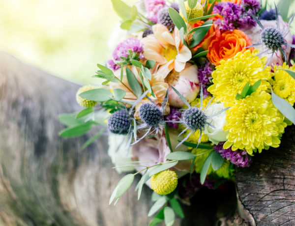 Ma, március 20.: Klaudia névnapja van – milyen a személyisége?