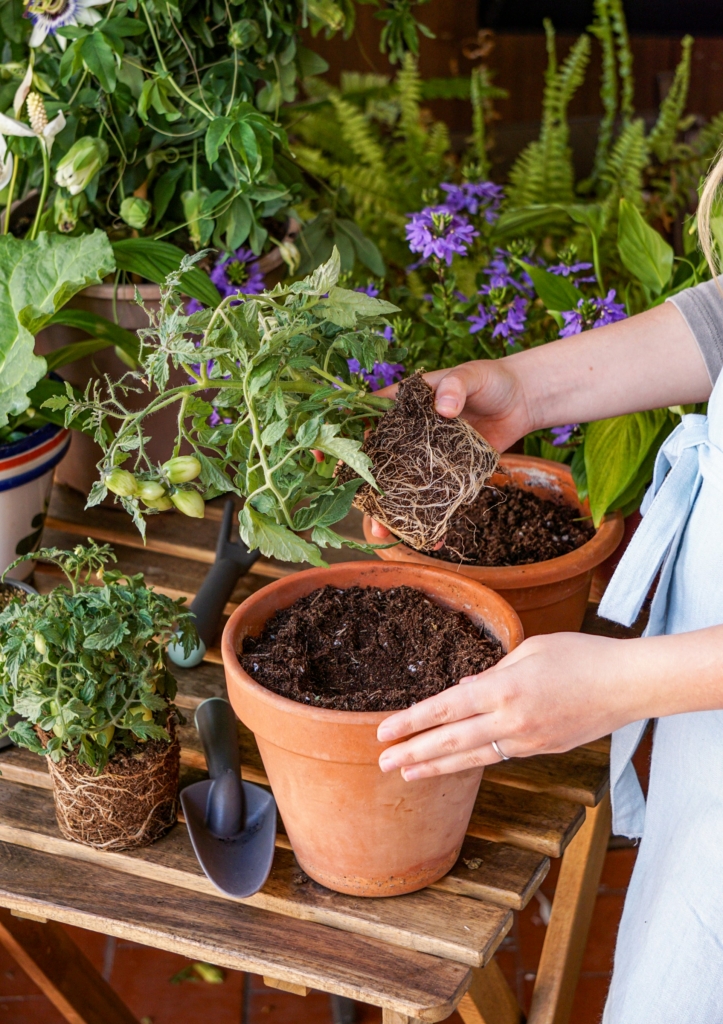 Nő virágot ültet egy cserépbe