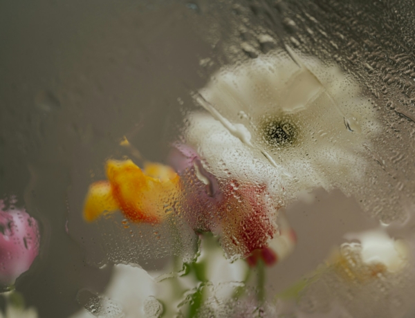 Időjárás 2026. március 27.: Esős, szürke péntekre készülhetünk