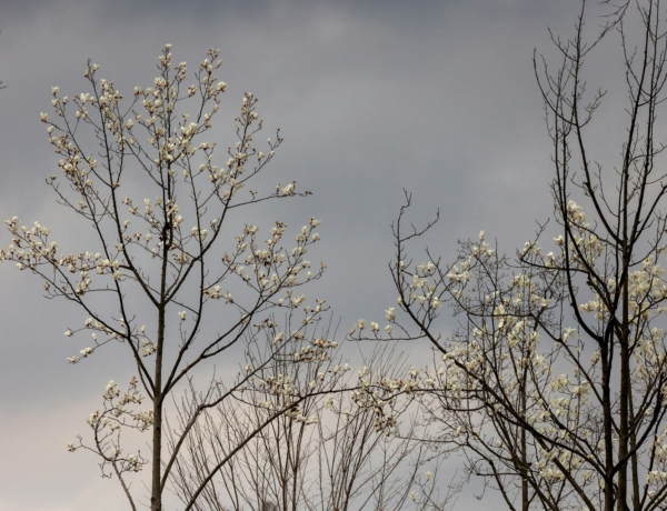 Időjárás 2026. március 30.: Borult, szeles nappal indít a hét