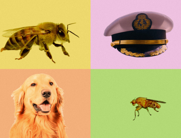 Négyféle barát létezik a programokat illetően – te melyikük vagy?