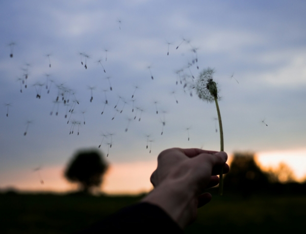 Időjárás 2026. március 19.: Szeles, közepesen felhős napra ébredünk