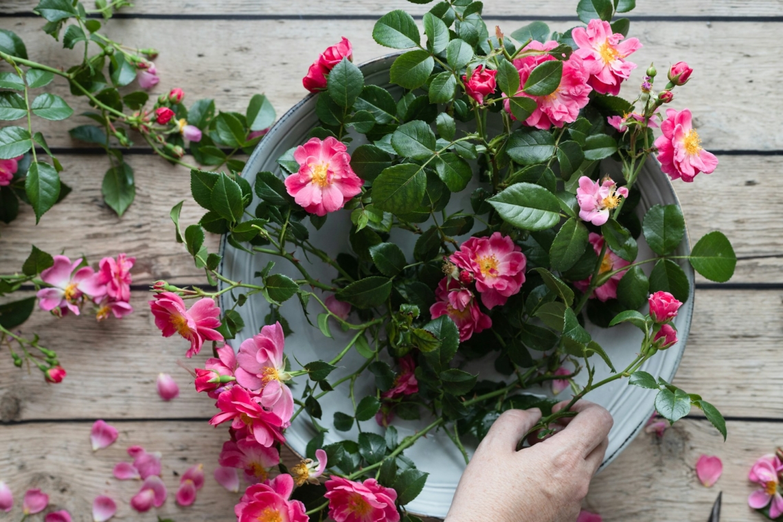 Ma, március 4.: Kázmér névnapja van – milyen személyiséget rejt a név?