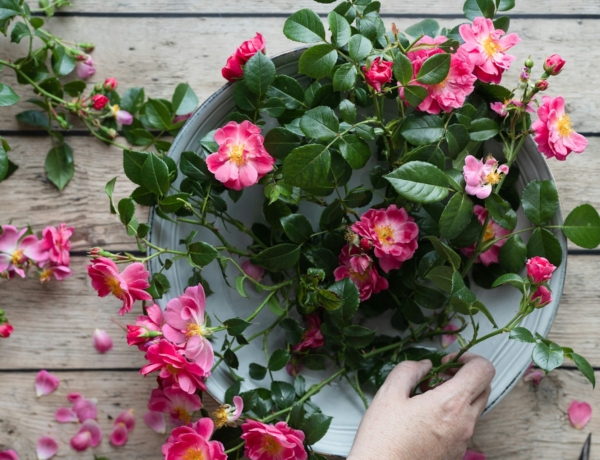 Ma, március 4.: Kázmér névnapja van – milyen személyiséget rejt a név?