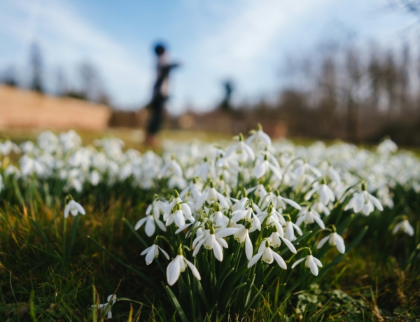 Időjárás 2026. március 6.: Országszerte ragyogó tavaszi napsütésre lehet számítani