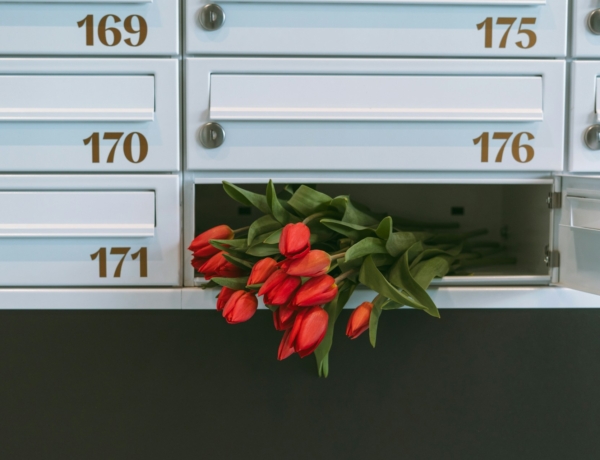 Ma, március 6.: Leonóra és Inez névnapja van – mit jelent a nevük?