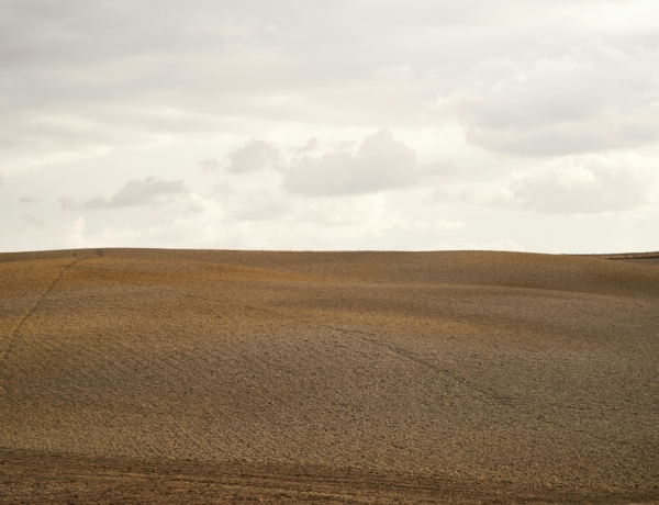 Időjárás 2026. március 21.: Közepesen felhős, szeles nap