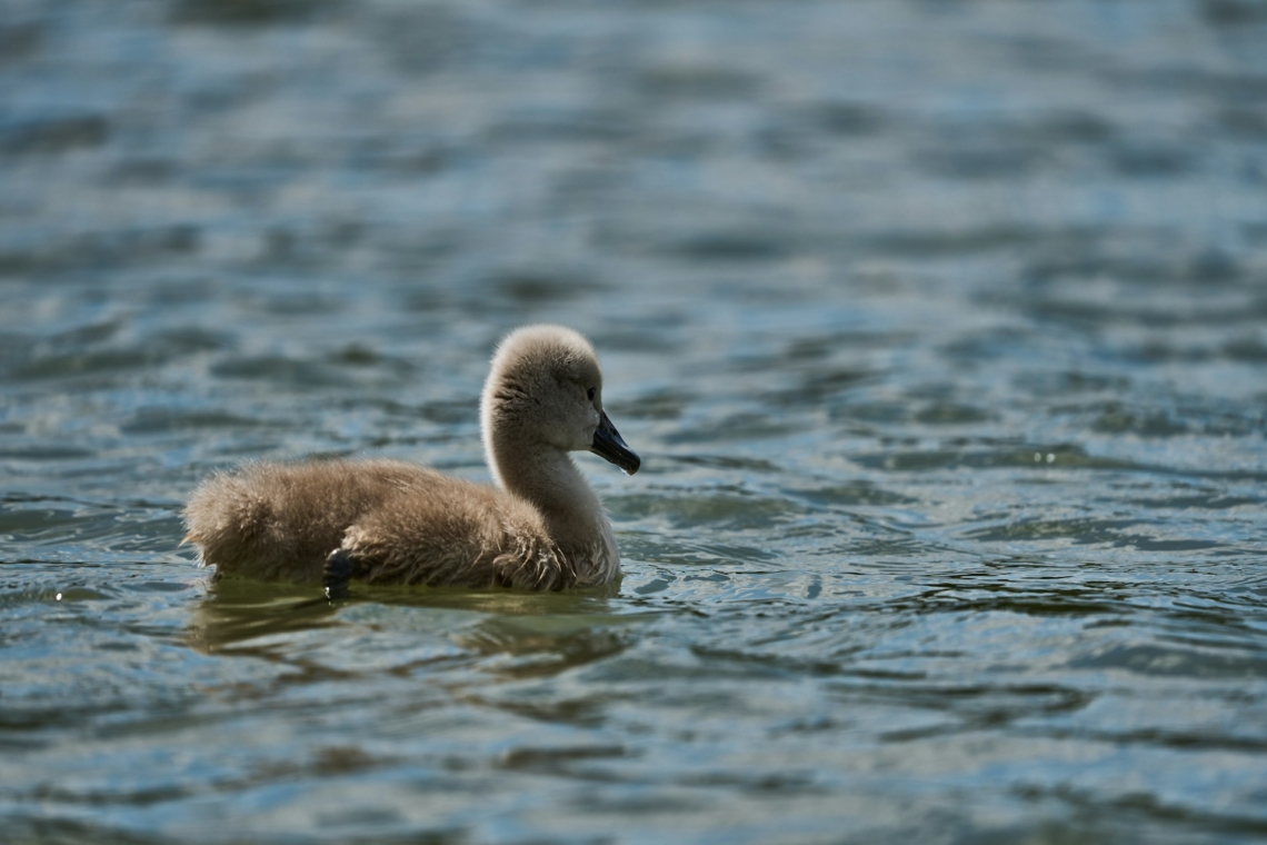Időjárás 2026. március 5.: Kellemes tavaszi időben lesz részünk
