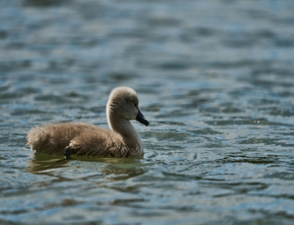 Időjárás 2026. március 5.: Kellemes tavaszi időben lesz részünk