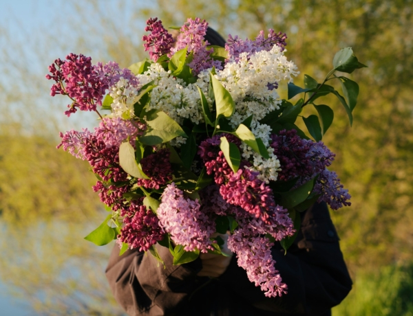 Ma, április 20.: Tivadar névnapja van– Milyen a személyisége?