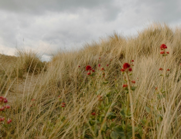 Időjárás 2026. április 22.: Erősen felhős, szeles nap