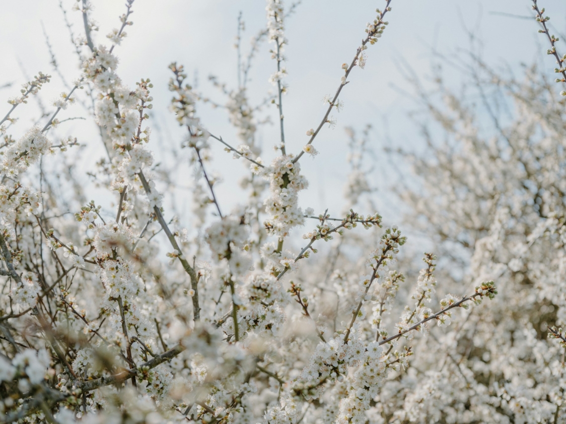 Időjárás 2026. április 26.: Hidegfronti hatás miatt csökken a hőmérséklet