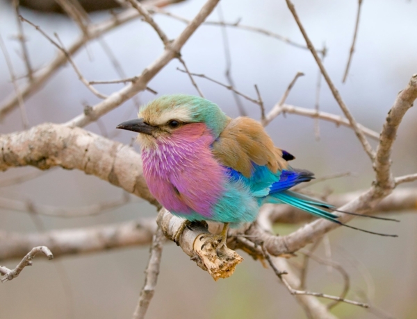 Időjárás 2026. április 15.: A levegő tovább melegszik és a nap is felsüthet