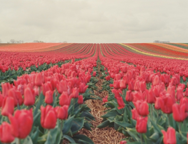 Időjárás 2026. április 4.: Napos, kellemes tavaszi idő