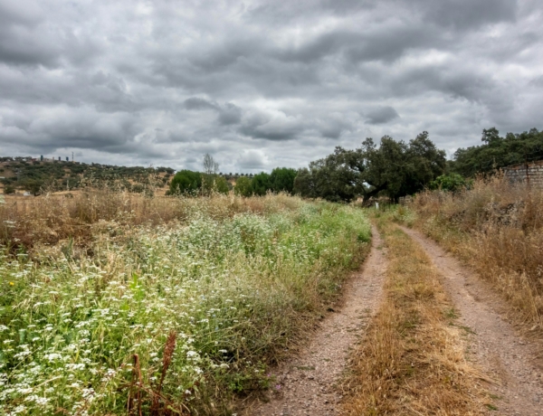 Időjárás 2026. április 14.: Meleg, de felhős és szeles napra ébredünk